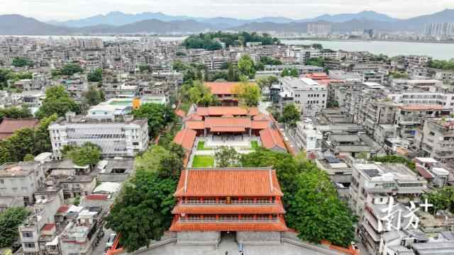 做好新时代“侨”的文章，广东这样干