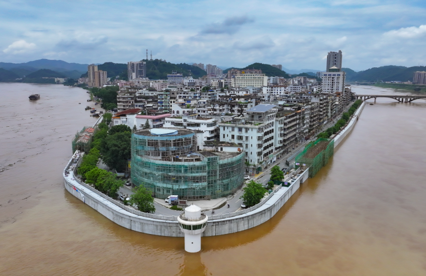 大堤护城，书写正确政绩观的生动答卷｜羊晚快评