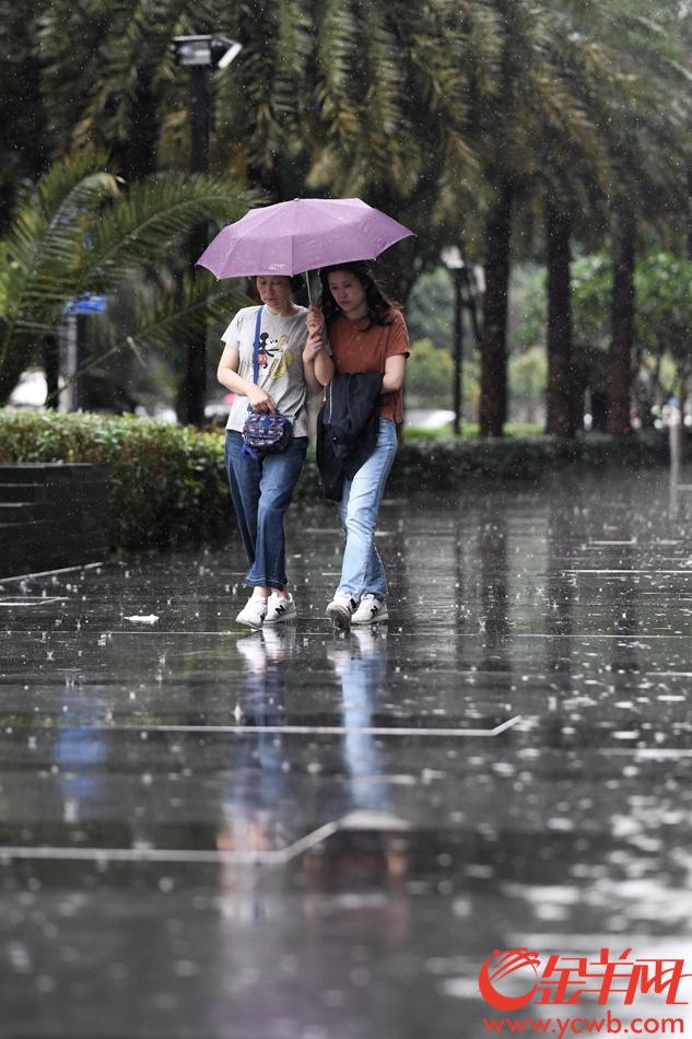 滂沱大雨讓城市多了一分寂靜,雨中人或形單影隻,或三兩結伴撐傘,往日