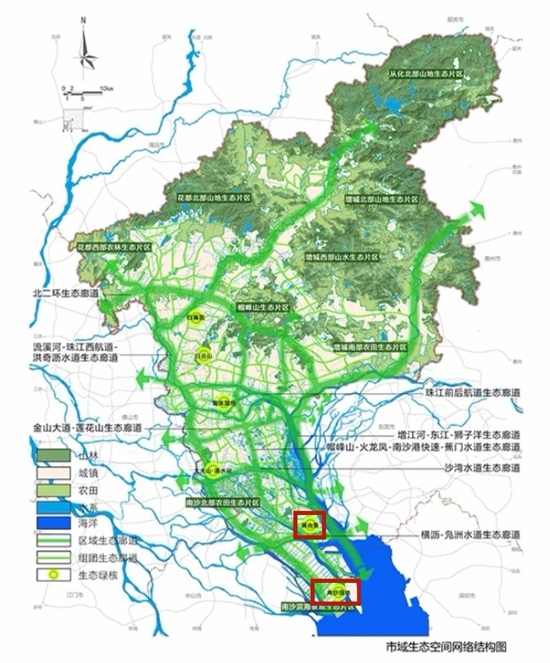 更宜居!至2035年,廣州南沙將新增3條生態廊道