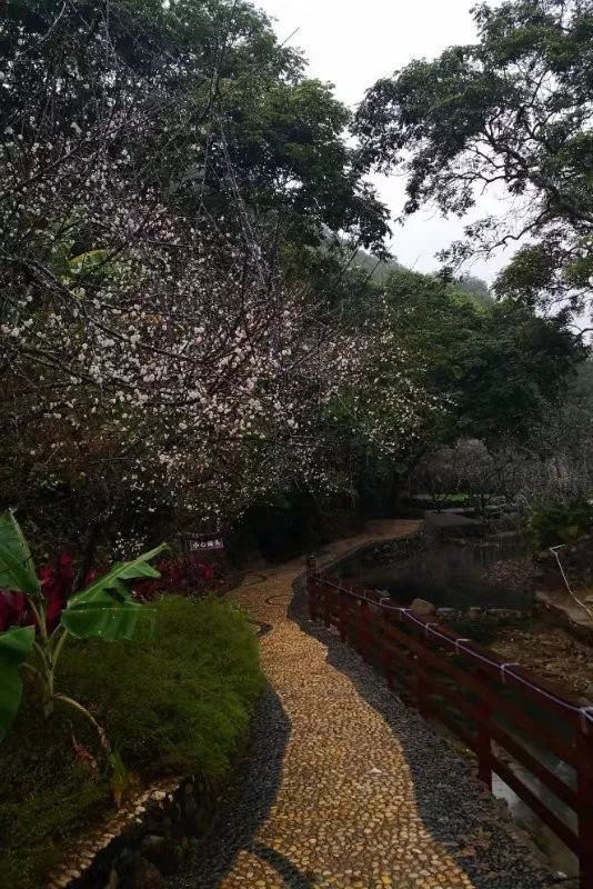 你看那細雨紛飛 暗香浮動 美出了天際 細心的你可能會找到答案 曙光