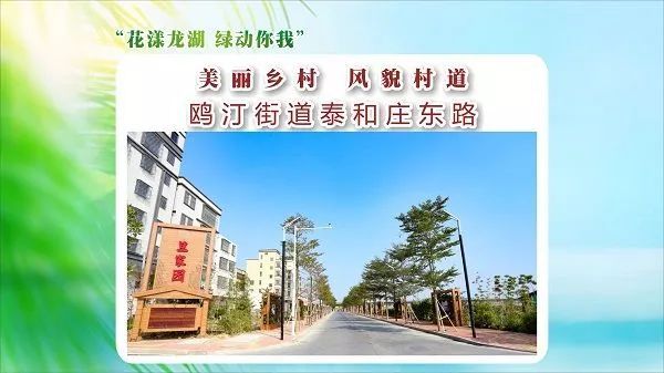 龙华街道大衙村德泽路龙祥街道浦江东路新海街道西南村文英路新津街道