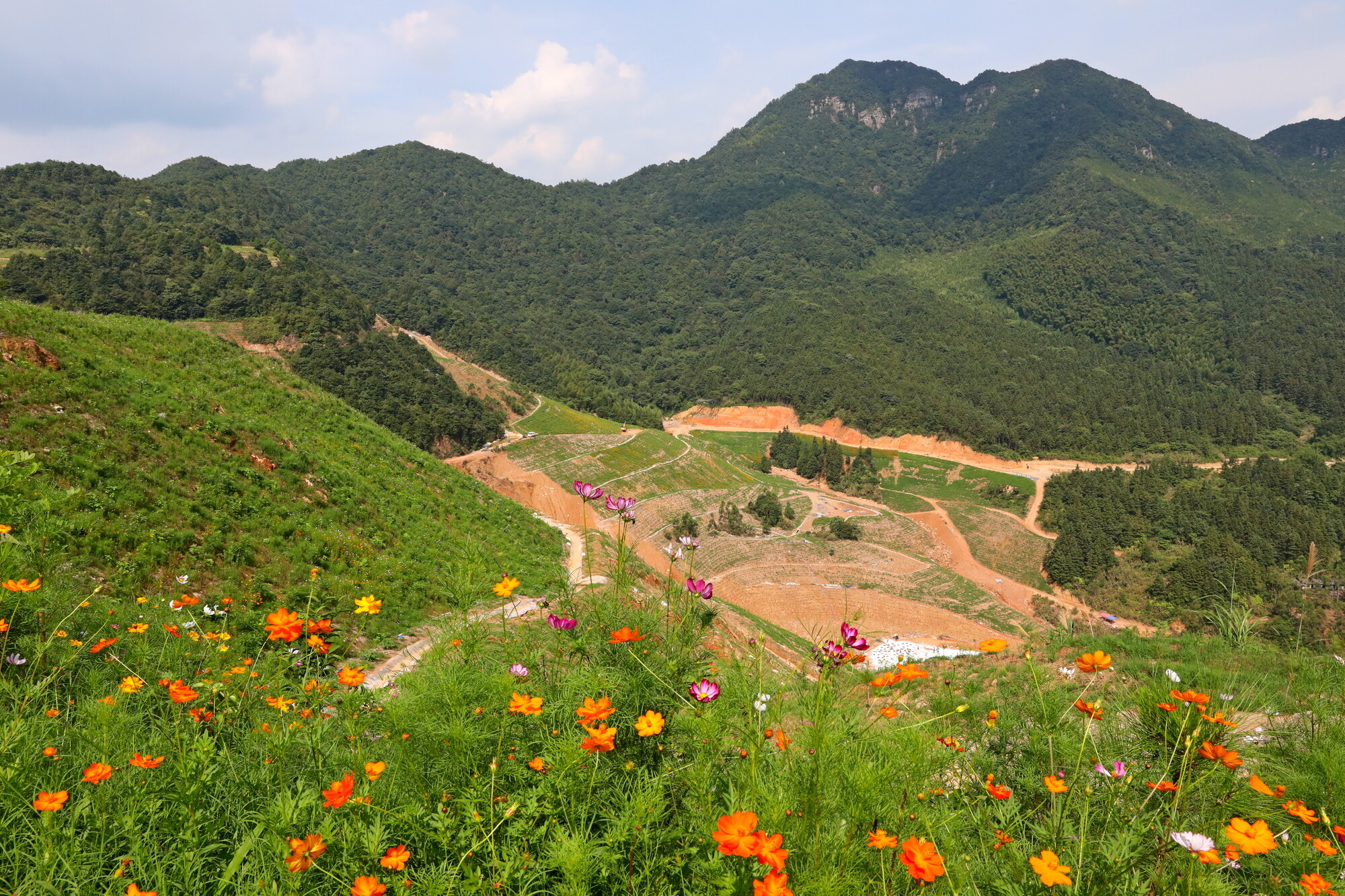 今年全省要建70個綠色礦山,明年起不達標企業將限期整改