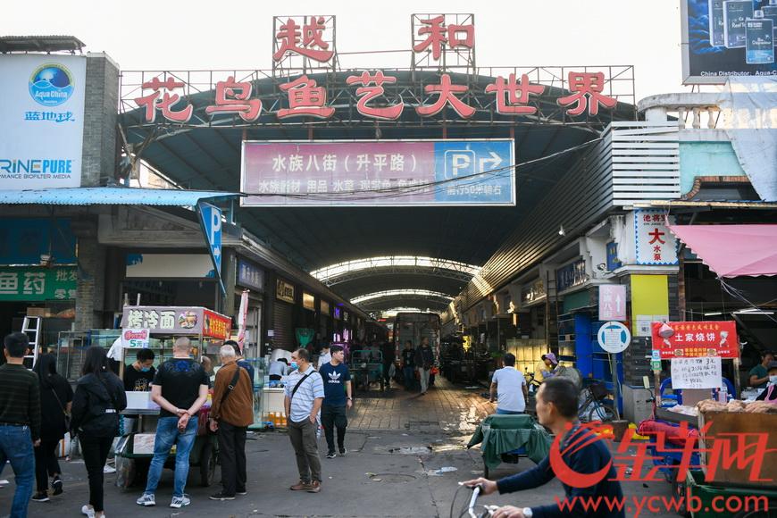 10月20日是广州市越和花鸟鱼艺大世界(花地湾花鸟鱼虫市场)营业的最后