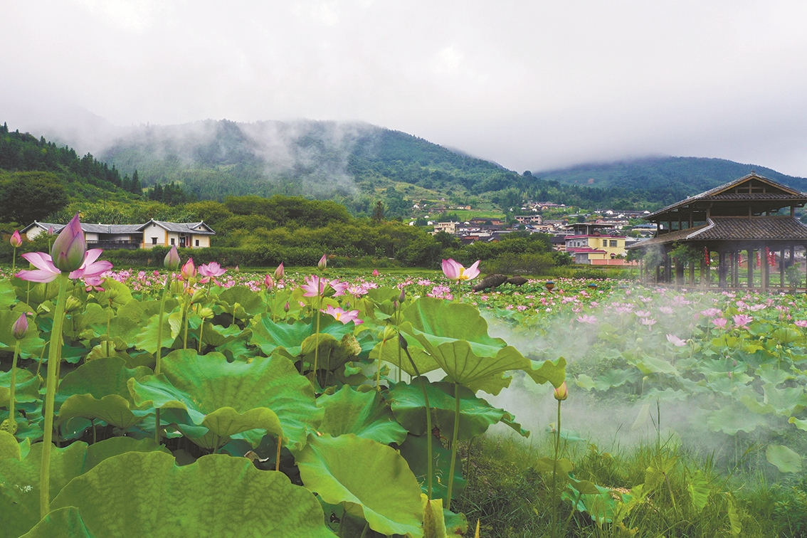 梅州平远县梅畲村古村落蝶变成中国美丽休闲村