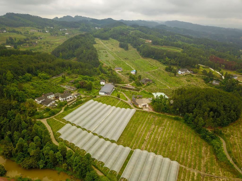 南川区河图镇图片