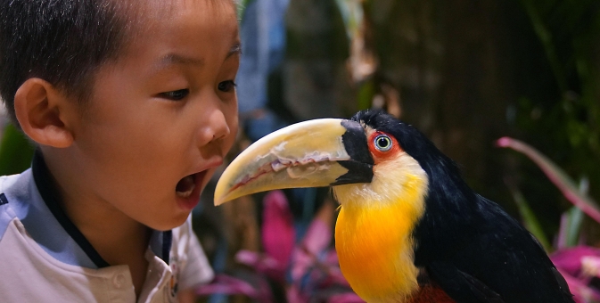  新生动物宝宝萌翻全场！正佳雨林生态植物园奉上儿童节“大餐”