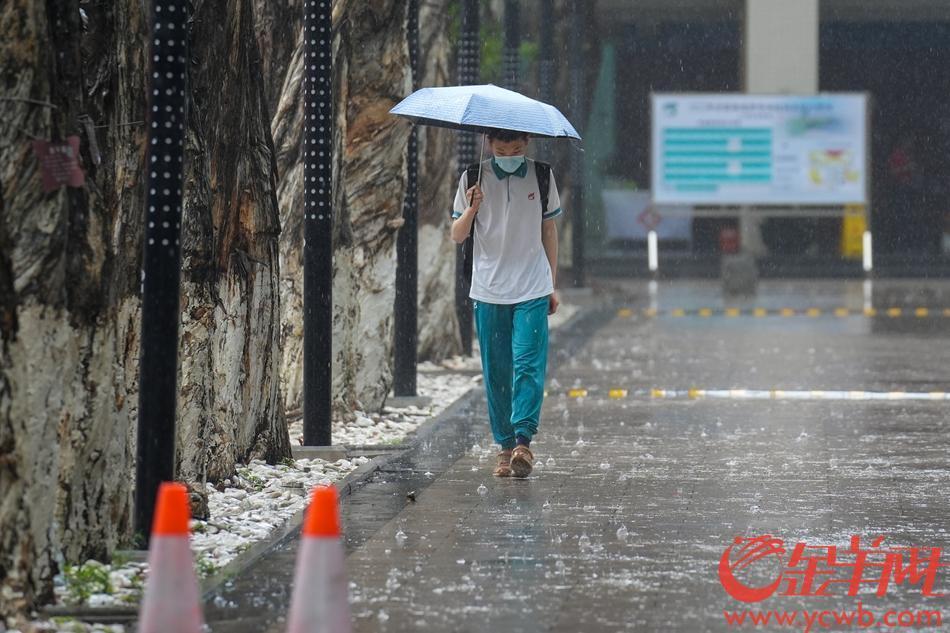 6月7日高考第一天，早上语文考试后，天空下起大雨。广州市第六中学考场外，众多家长前来接考 羊城晚报全媒体记者 梁喻 摄