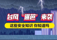  【动画】@广东人：打台风了！这些防范要点请收好→