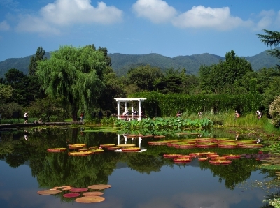  解锁现实版“莫奈后花园” 国家植物园睡莲盛放