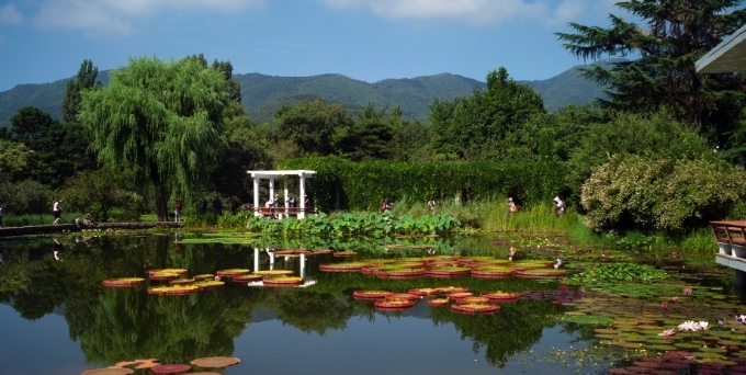  解锁现实版“莫奈后花园” 国家植物园睡莲盛放