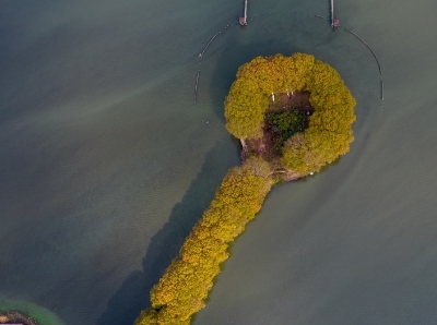  俯瞰武汉东湖上的“金汤勺”