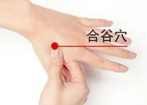 截屏2022-12-22 19.44.41.png