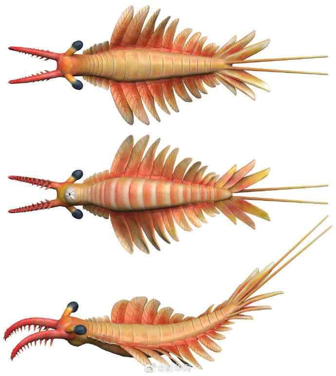 微信图片_20230109185114.jpg?x-oss-process=style/w10