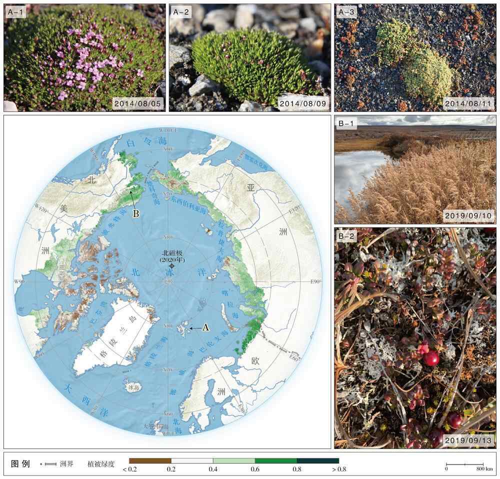 4-1_2002—2021年北极植被绿度空间分布.jpg