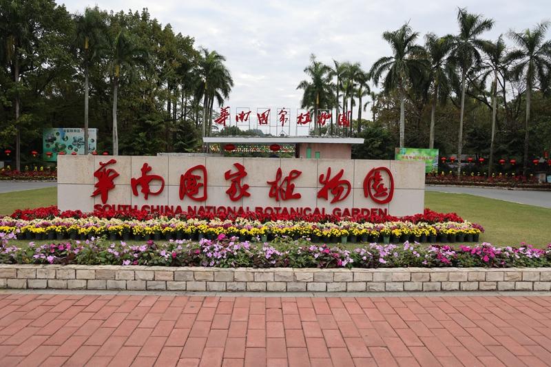 广州科创：南北两个国家植物园首次联办“珍奇兰花展”