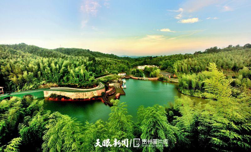 贵州竹海风景区在哪里图片