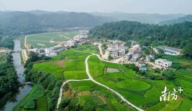清远英德市连江口镇连樟村 南方日报记者 曾亮超 摄