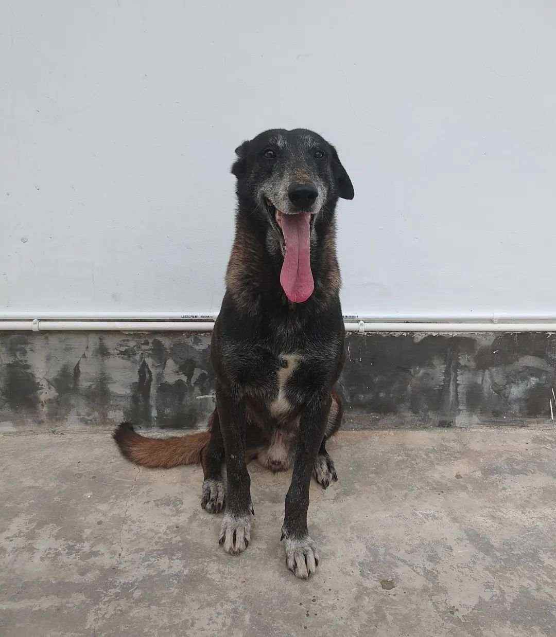 8.jpg?x-oss-process=style/w10