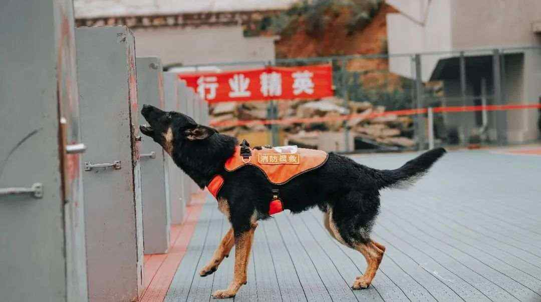 4.jpg?x-oss-process=style/w10