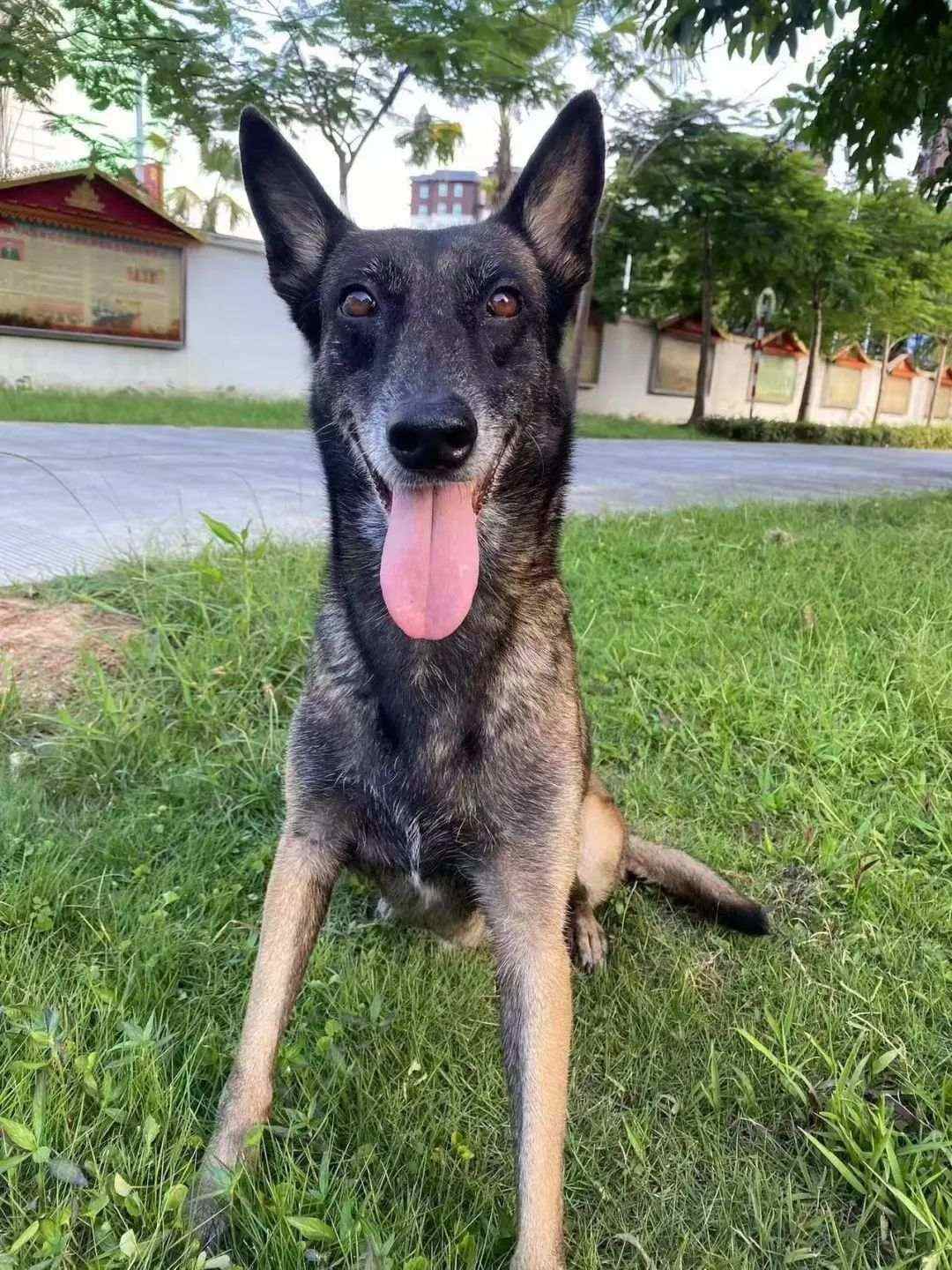 7.jpg?x-oss-process=style/w10