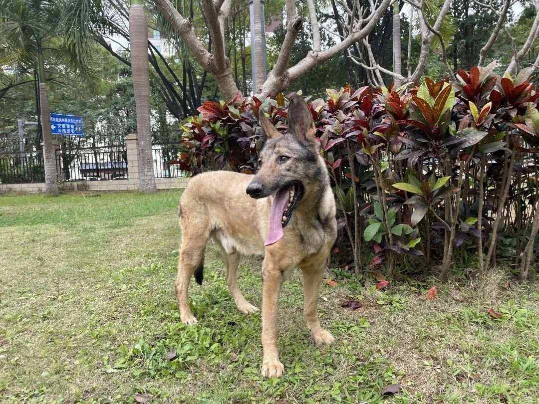 6.jpg?x-oss-process=style/w10