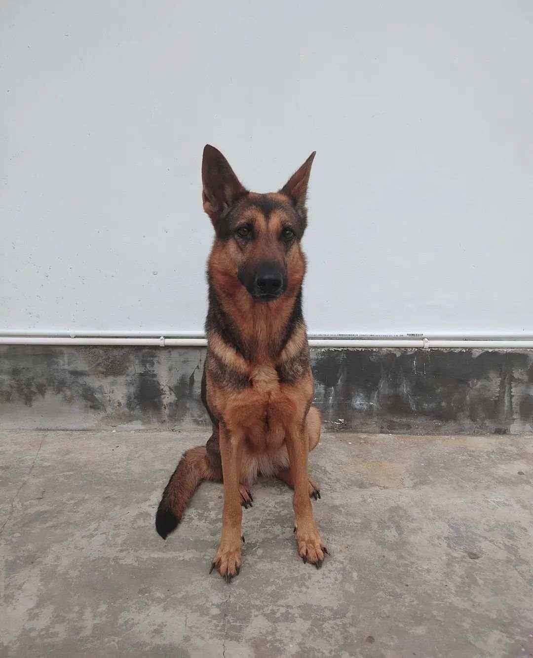 9.jpg?x-oss-process=style/w10