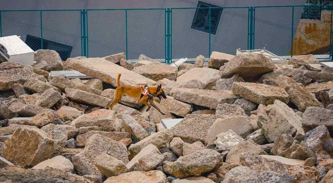 5.jpg?x-oss-process=style/w10