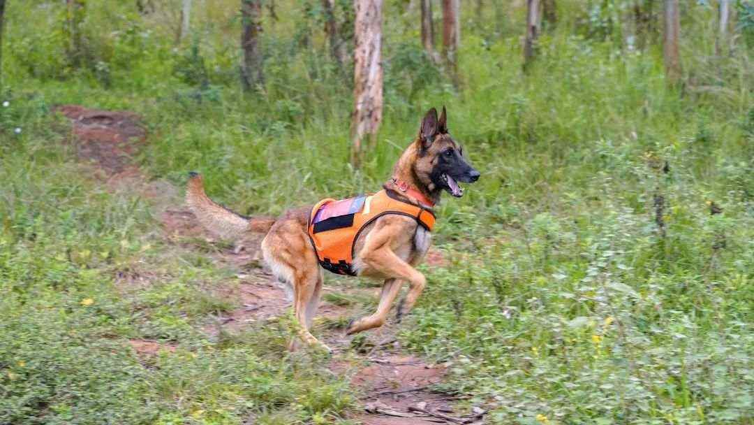 2.jpg?x-oss-process=style/w10