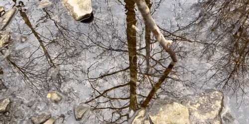 截图自杰德·万斯