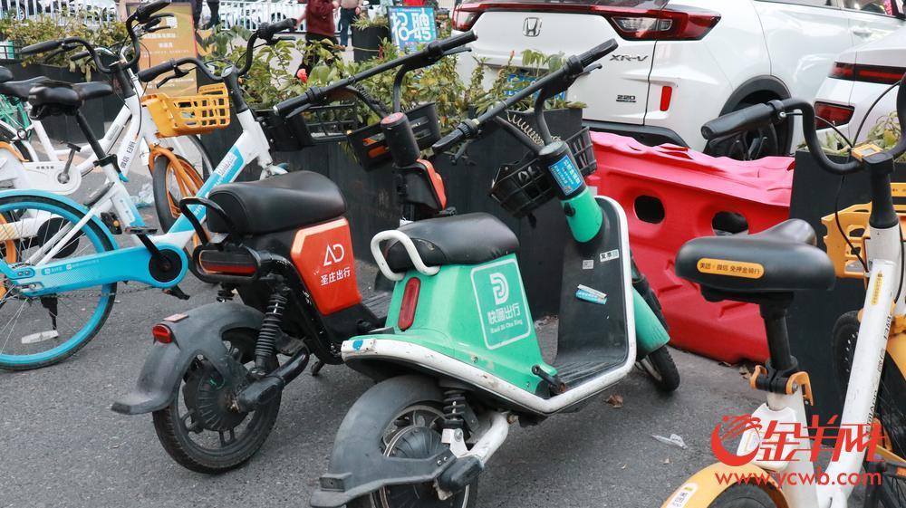 共享电动自行车无序投放隐忧多！广州从未向企业发放投放配额及牌照