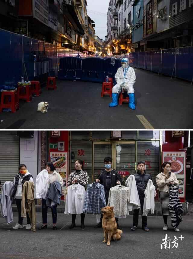 上图：2022年12月1日夜晚，一只母猫带着幼崽蹲在值守的工作人员旁。下图：2023年2月5日，一只狗蹲在主人身旁，一同“招工”。