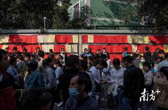海珠大塘片区，众多求职者驻足在招工栏前观看招聘信息。