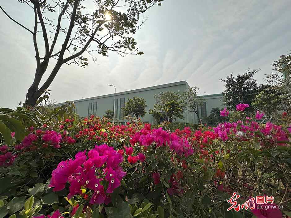 【高质量发展看中国】“绿色花园工厂”领跑低碳高质量发展