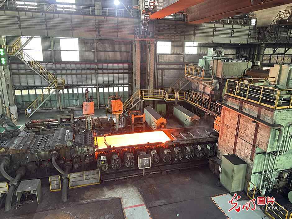 【高质量发展看中国】“绿色花园工厂”领跑低碳高质量发展