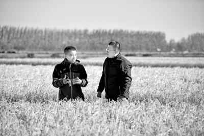 北大荒:打造“拴心留人”的农科人才高地