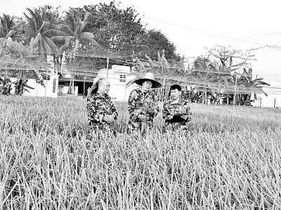 北大荒:打造“拴心留人”的农科人才高地