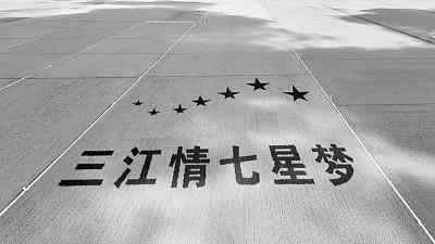 北大荒:打造“拴心留人”的农科人才高地