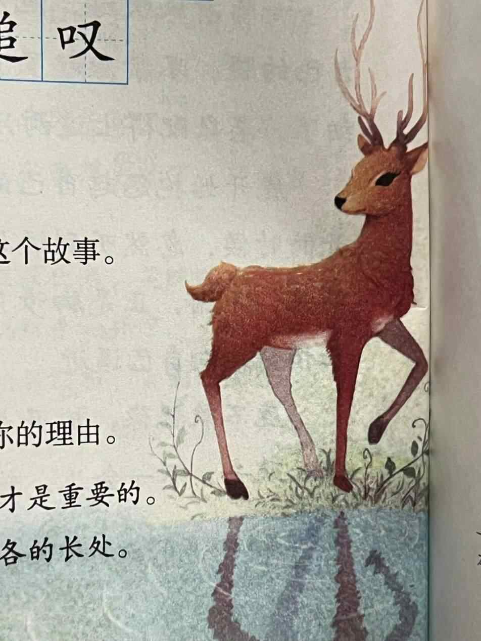用的是梅花鹿课文讲述一头鹿遇到了一只狮子(文章选自《伊索寓言》)