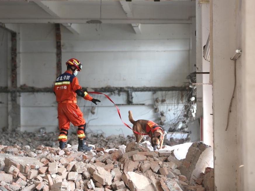 485人围绕9大科目演练！广东消防开展地震救援跨区域实战演练