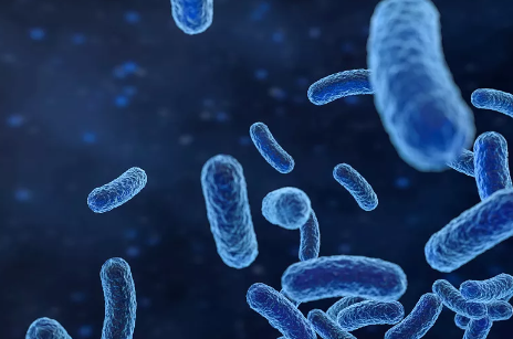 1679467853414.png 1679467853414.png