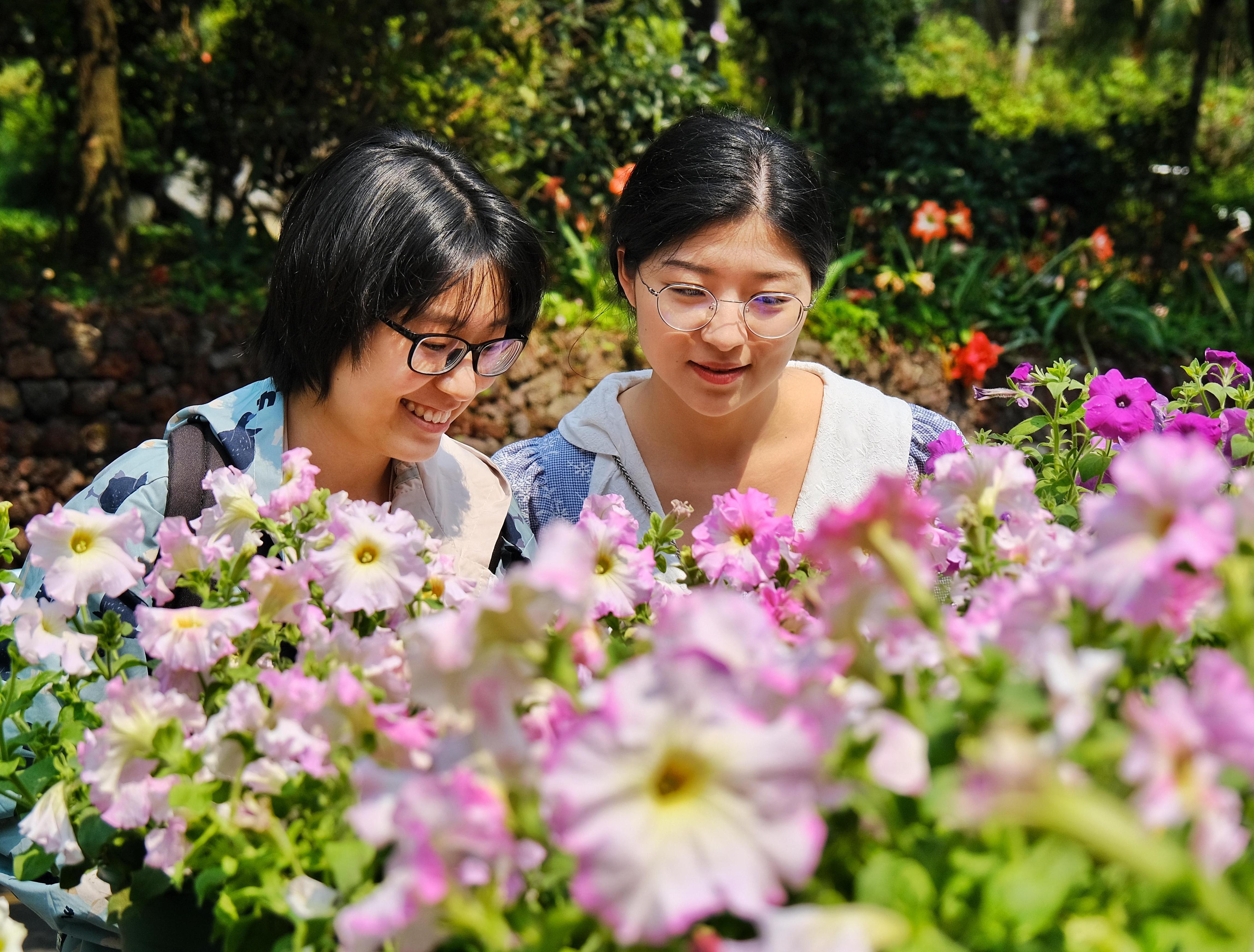  【图集】1000余种新优植物亮相！2023年广州新优花卉品种展开幕