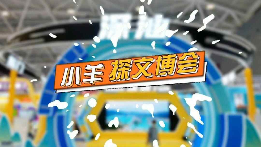 Vlog | 小羊探文博，跟着记者打卡粤港澳大湾区深汕展团