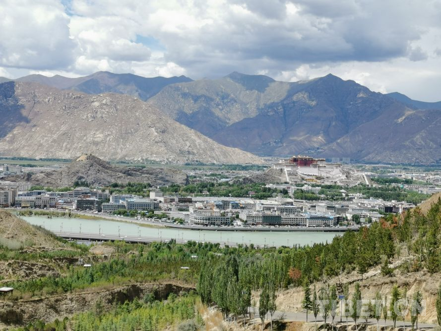 10年！西藏有一种力量“植”得期待