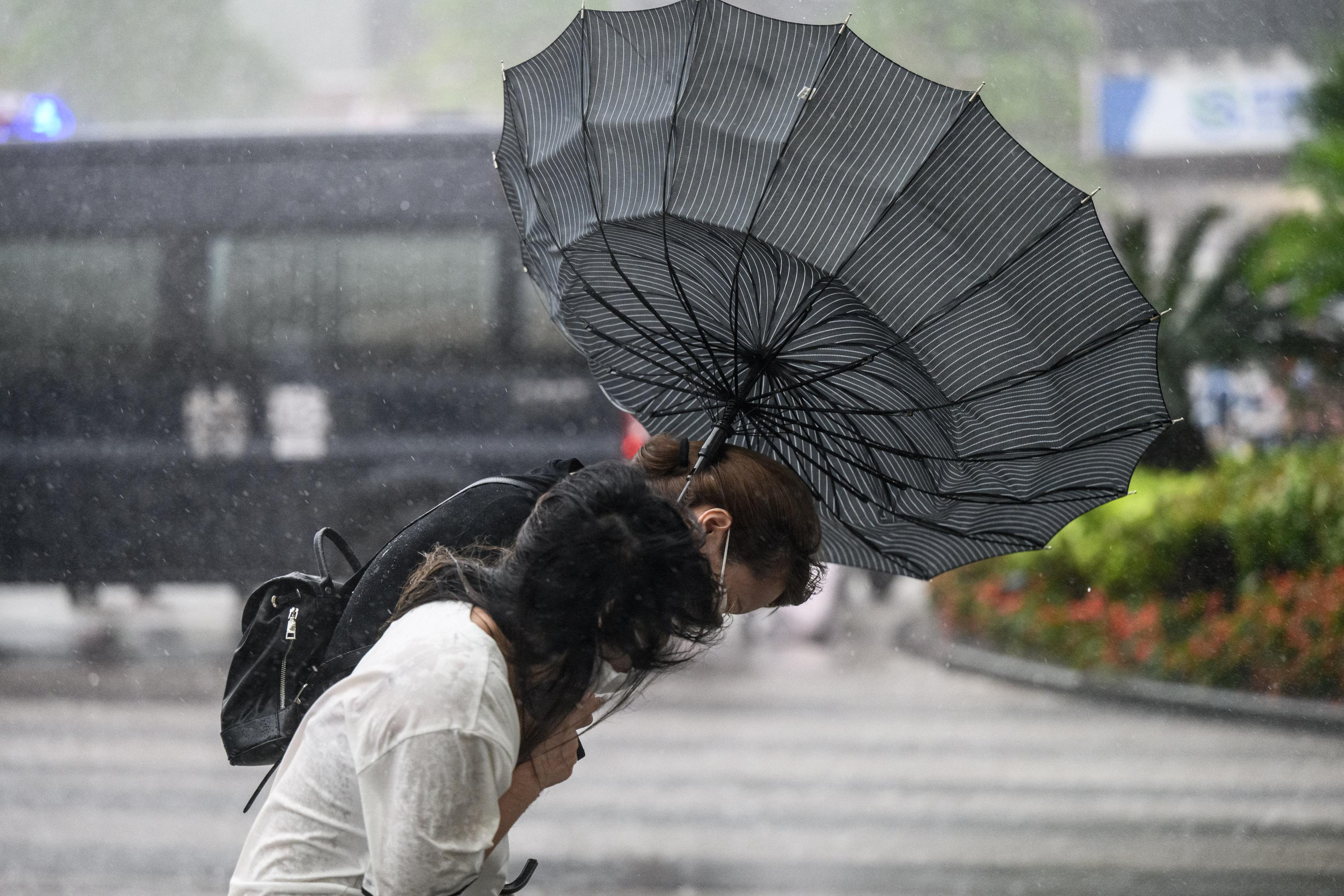 台风“泰利”预计今日23时前后正面袭击湛江，全市“八个停”！