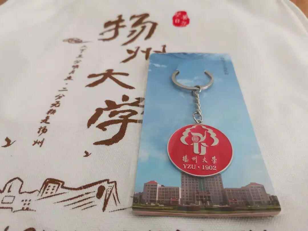 校徽钥匙扣昭示着坚苦自立的校训也给予2023级的yzuers走向未来的信心