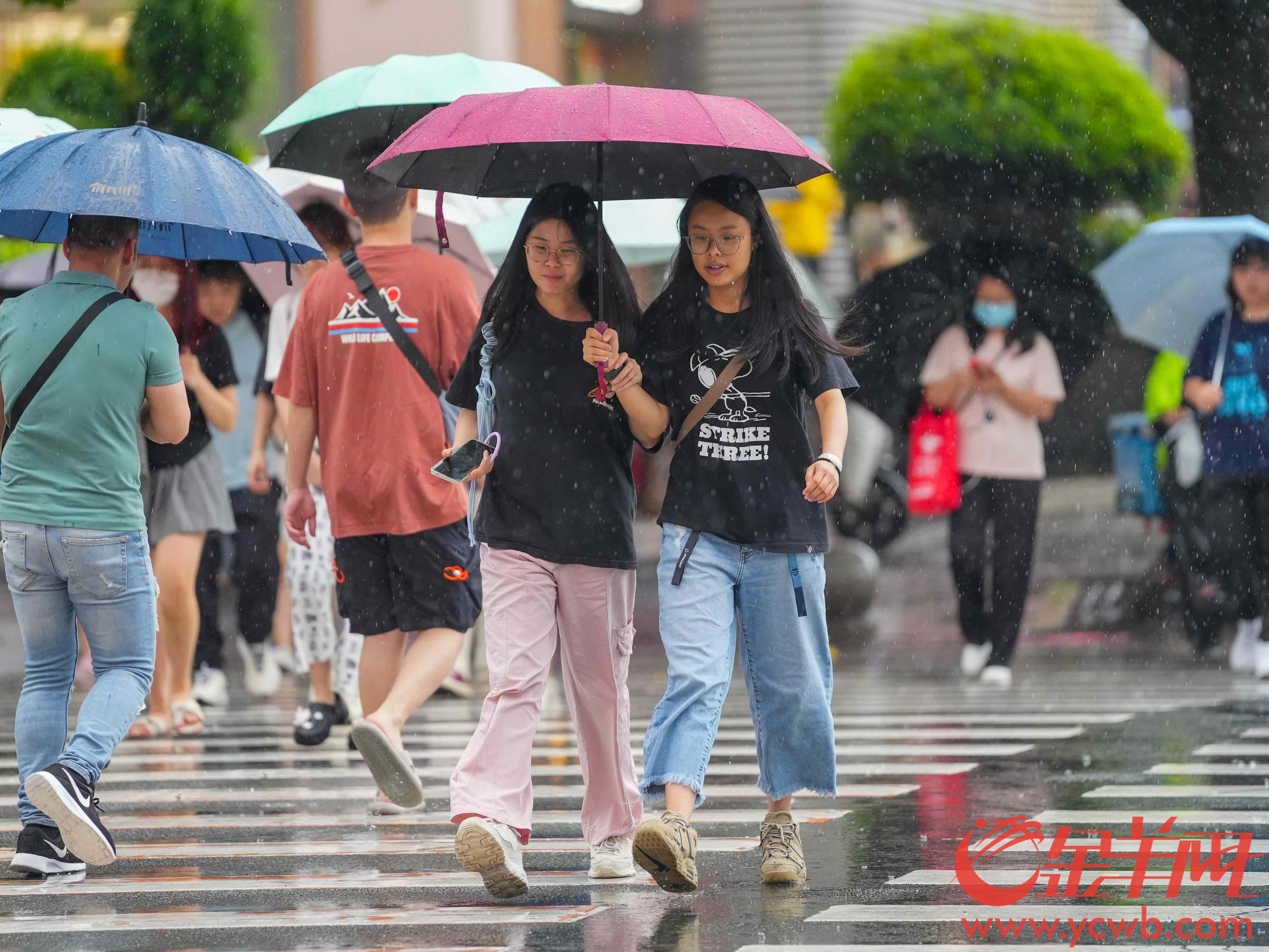广州多区发布“风雨预警”，今夜至明晨为降水重点时段