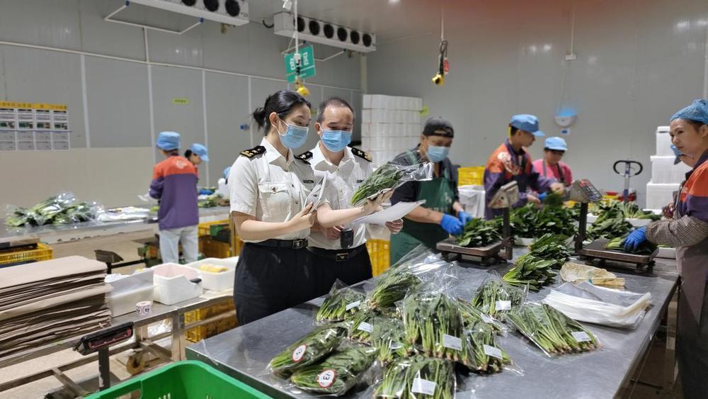 外贸行业的最新动态：广纳进出口解读