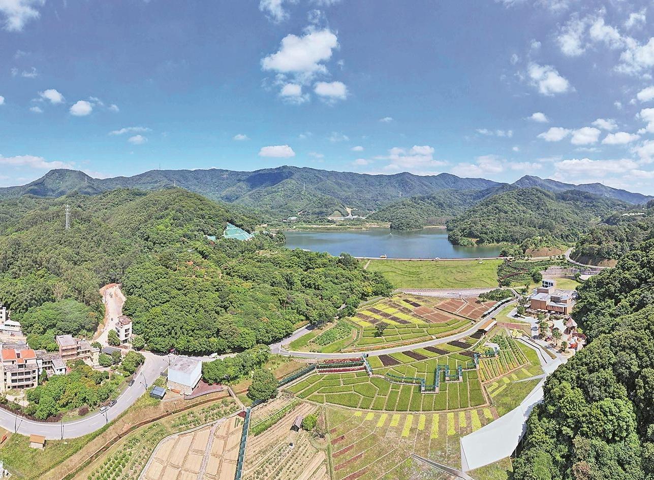 广州从化区：串联山水林田湖海，全域打造和美乡村