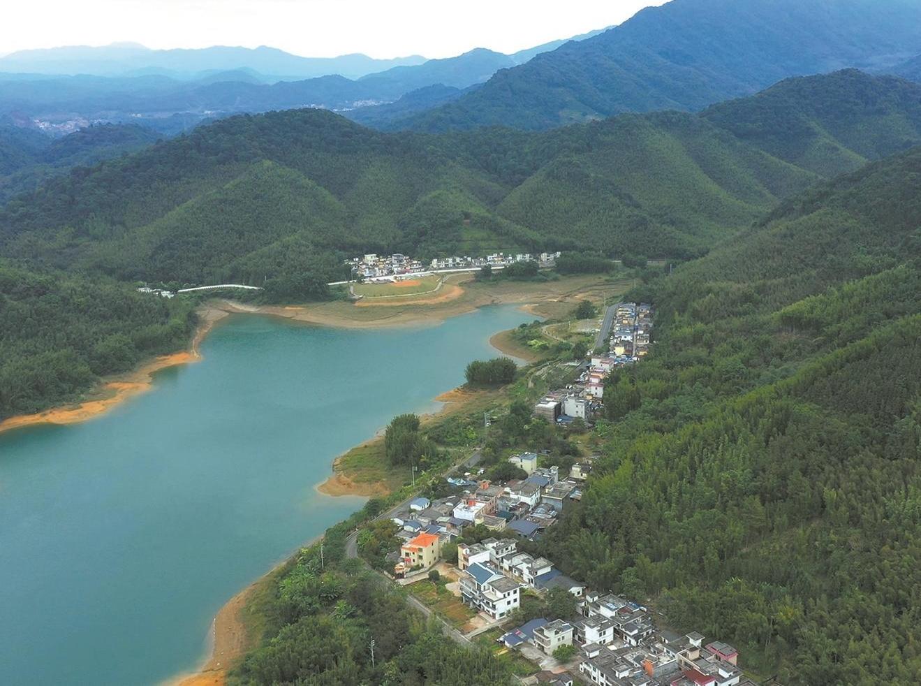 广州小山村诠释“靠山吃山”新内涵